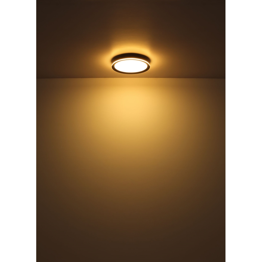 Globo - LED-kattovalaisin LED/30W/230V halkaisija 30 cm