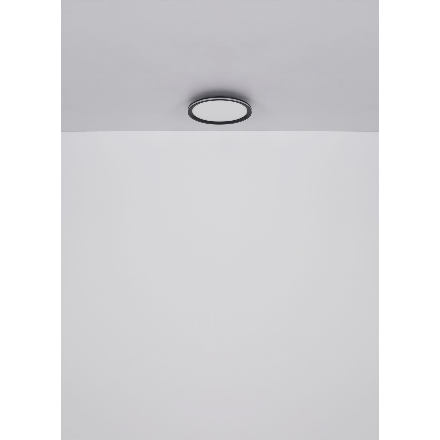 Globo - LED-kattovalaisin LED/30W/230V halkaisija 30 cm