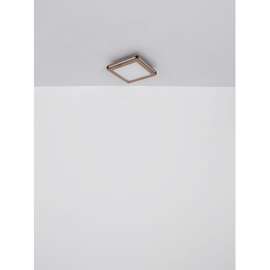 Globo - LED-kattovalaisin LED/12W/230V 30x30 cm