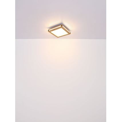Globo - LED-kattovalaisin LED/24W/230V 45x45 cm