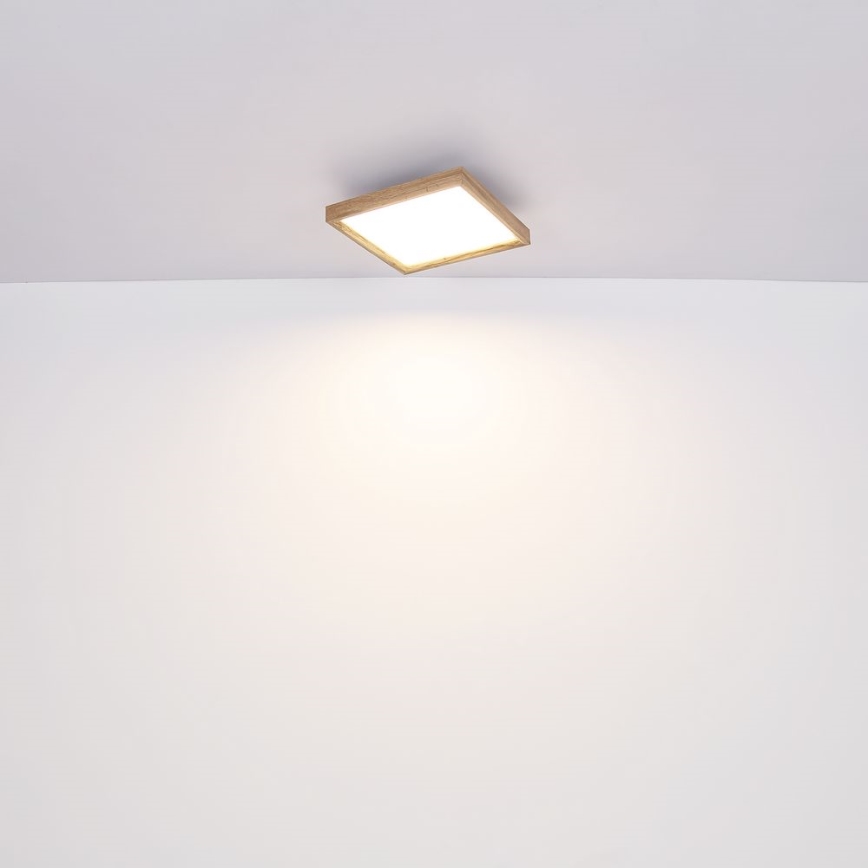Globo - LED-kattovalaisin LED/12W/230V 2700/4500/6500K 30x30 cm