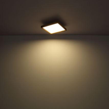 Globo - LED Kattovalo LED/24W/230V 45cm 2700/4500/6500K