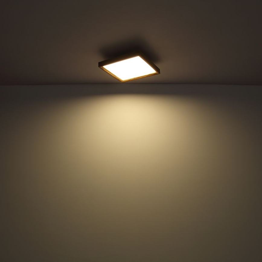 Globo - LED-kattovalaisin LED/36W/230V 2700/4500/6500K 60x60 cm