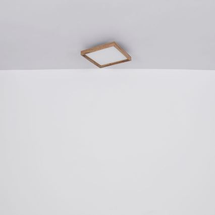 Globo - LED-kattovalaisin LED/36W/230V 2700/4500/6500K 60x60 cm