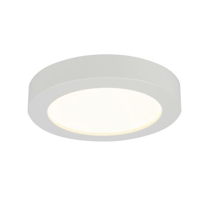 Globo - LED-kylpyhuoneen kattovalaisin LED/18W/230V IP44