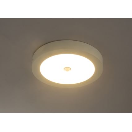 Globo - LED-kattovalaisin ulkokäyttöön liiketunnistimella LED/18W/230V IP44