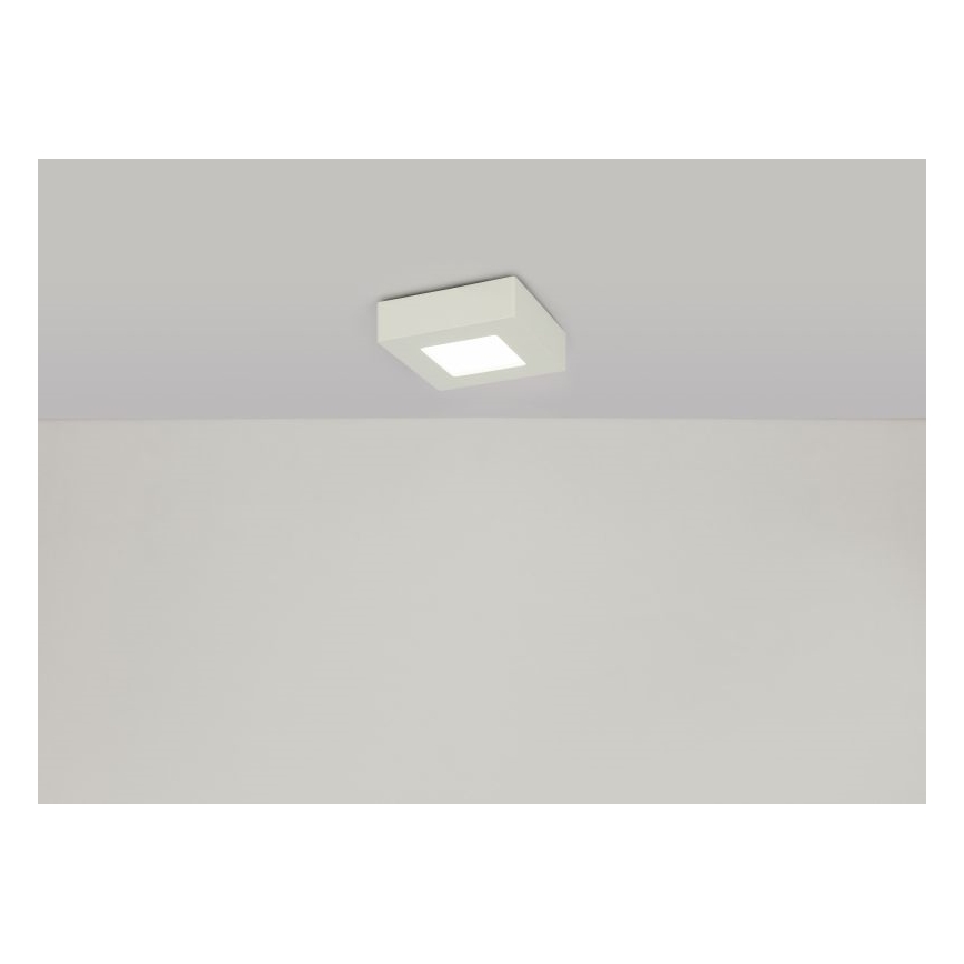 GLOBO - LED-kattovalaisin LED/6W/230V