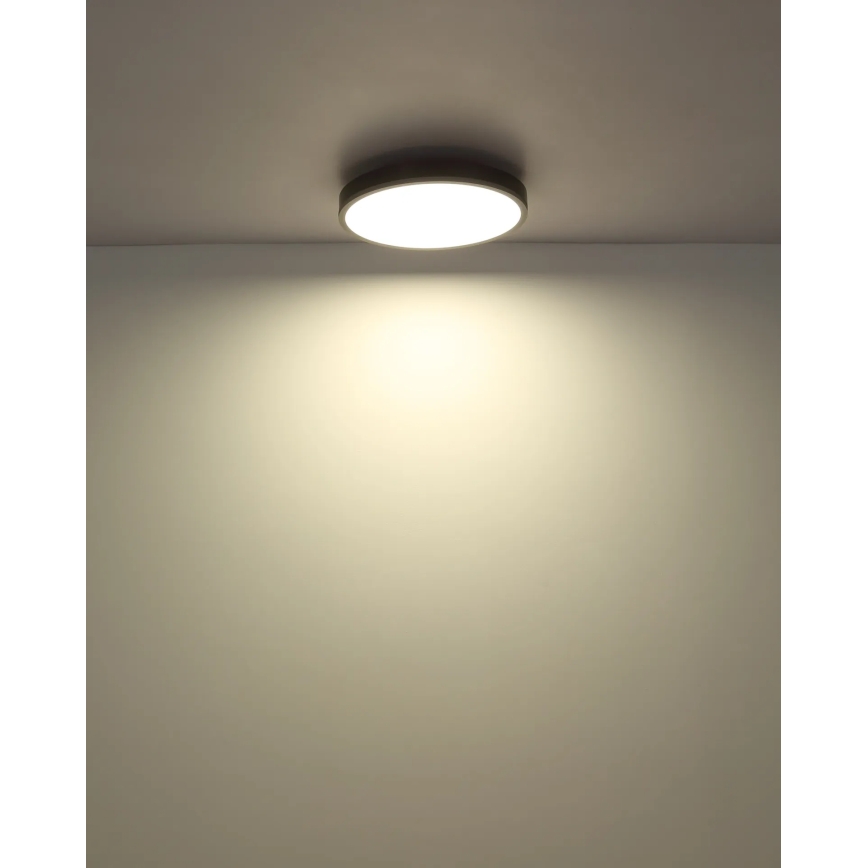 Globo - LED Himmennettävä kattovalaisin LED/24W/230V 2700-6500K Ø 45 cm + kaukosäädin