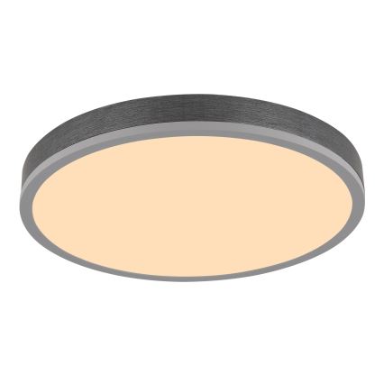 Globo - LED Himmennettävä kattovalaisin LED/24W/230V 2700-6500K Ø 45 cm + kaukosäädin