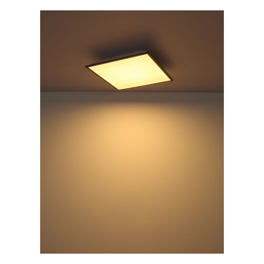 Globo - LED-kattovalaisin LED/24W/230V