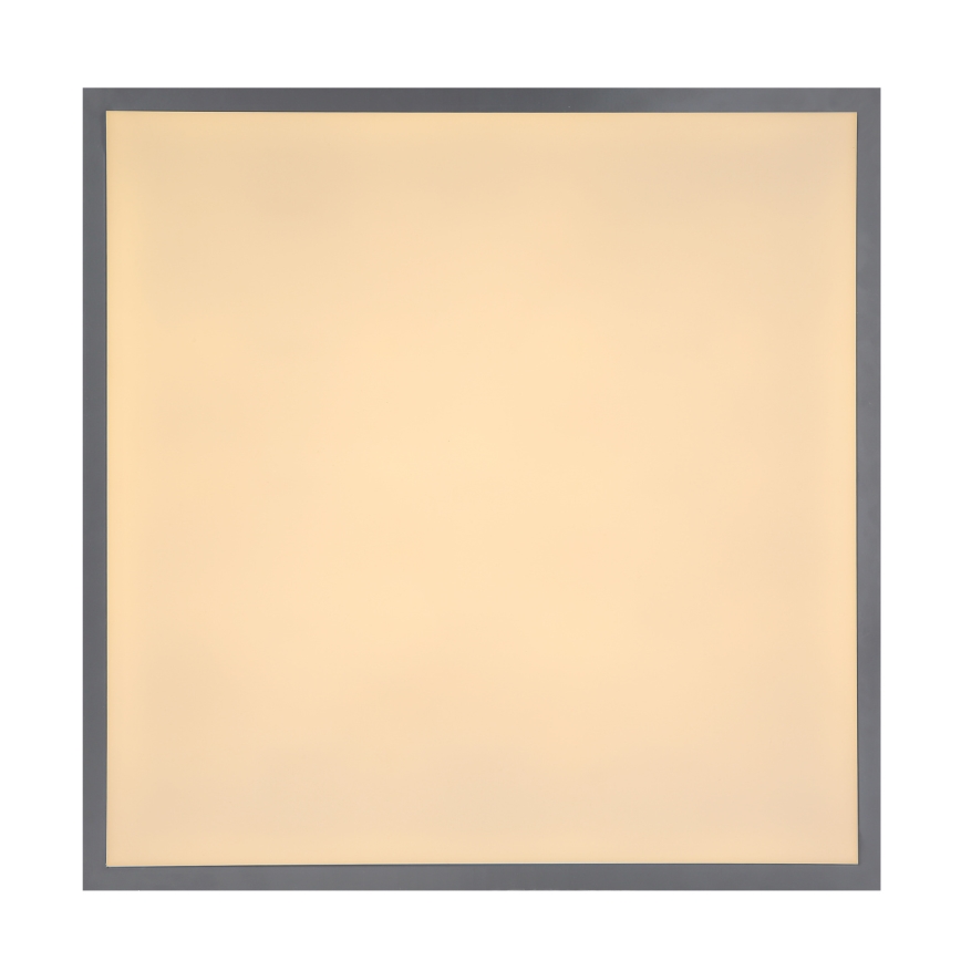 Globo - LED-kattovalaisin LED/24W/230V