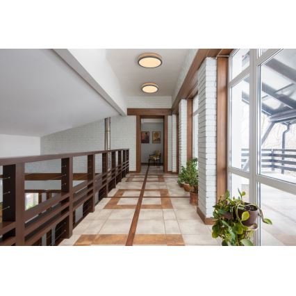 Globo - LED Kattovalo LED/12W/230V d. 30 cm