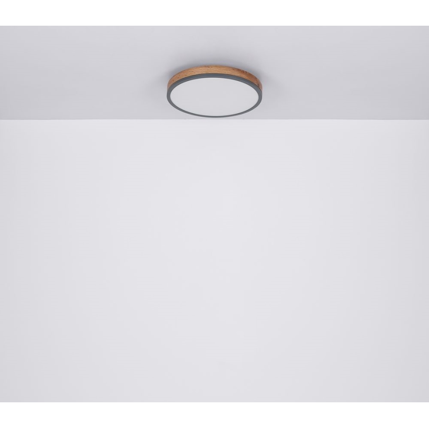 Globo - LED Kattovalo LED/12W/230V d. 30 cm