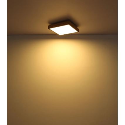 Globo - LED himmennettävä kattovalaisin LED/24W/230V 3000-6500K 45x45 cm