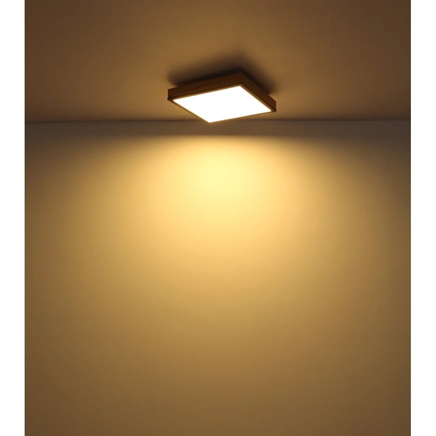 Globo - LED himmennettävä kattovalaisin LED/24W/230V 3000-6500K 45x45 cm