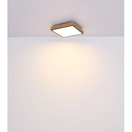 Globo - LED himmennettävä kattovalaisin LED/24W/230V 3000-6500K 45x45 cm