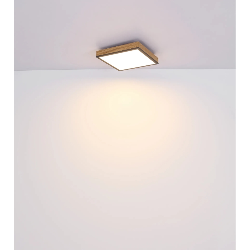 Globo - LED himmennettävä kattovalaisin LED/24W/230V 3000-6500K 45x45 cm