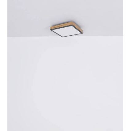 Globo - LED himmennettävä kattovalaisin LED/24W/230V 3000-6500K 45x45 cm