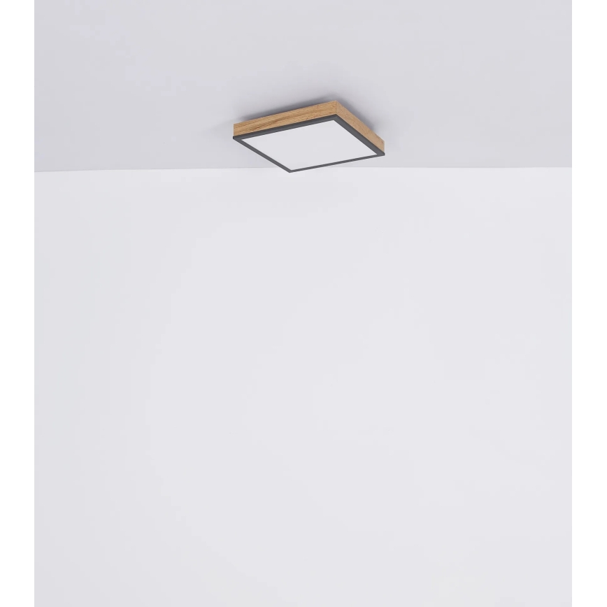 Globo - LED himmennettävä kattovalaisin LED/24W/230V 3000-6500K 45x45 cm