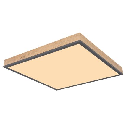 Globo - LED himmennettävä kattovalaisin LED/24W/230V 3000-6500K 45x45 cm