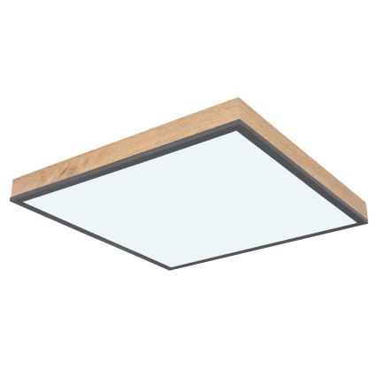 Globo - LED himmennettävä kattovalaisin LED/24W/230V 3000-6500K 45x45 cm