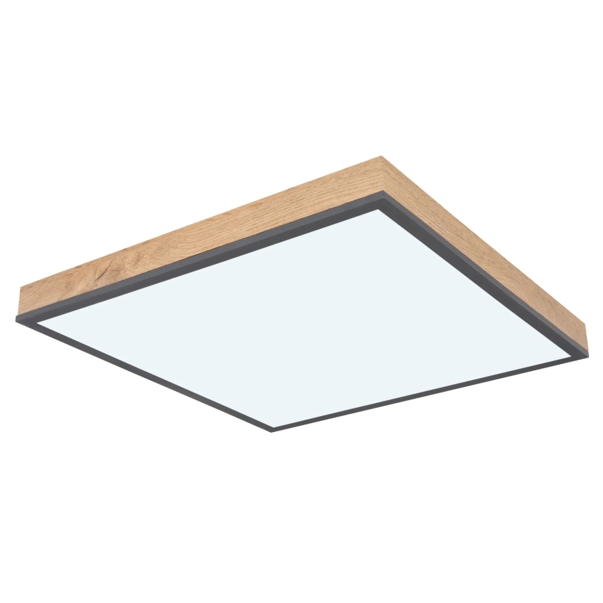 Globo - LED himmennettävä kattovalaisin LED/24W/230V 3000-6500K 45x45 cm