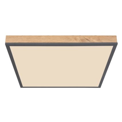 Globo - LED himmennettävä kattovalaisin LED/24W/230V 3000-6500K 45x45 cm