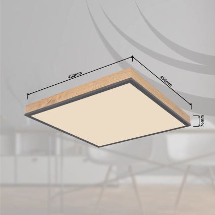 Globo - LED himmennettävä kattovalaisin LED/24W/230V 3000-6500K 45x45 cm