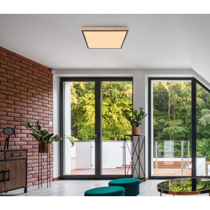 Globo - LED-kattovalaisin LED/24W/230V