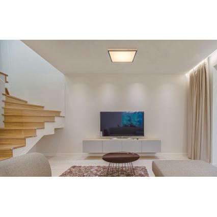 Globo - LED-kattovalaisin LED/24W/230V