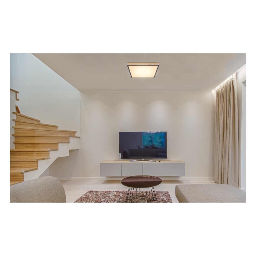 Globo - LED-kattovalaisin LED/24W/230V