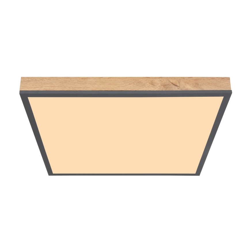 Globo - LED-kattovalaisin LED/24W/230V