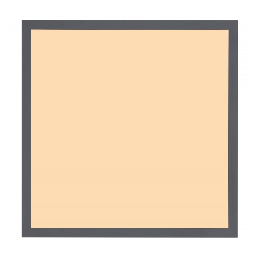 Globo - LED-kattovalaisin LED/24W/230V