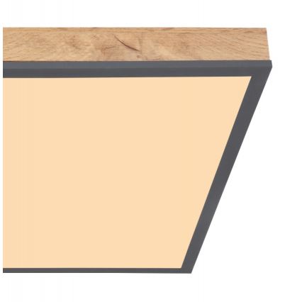 Globo - LED-kattovalaisin LED/24W/230V