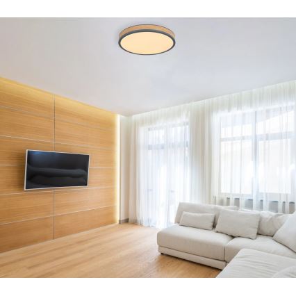 Globo - himmennettävä LED-kattovalaisin LED/24W/230V 3000-6500K halkaisija 45 cm