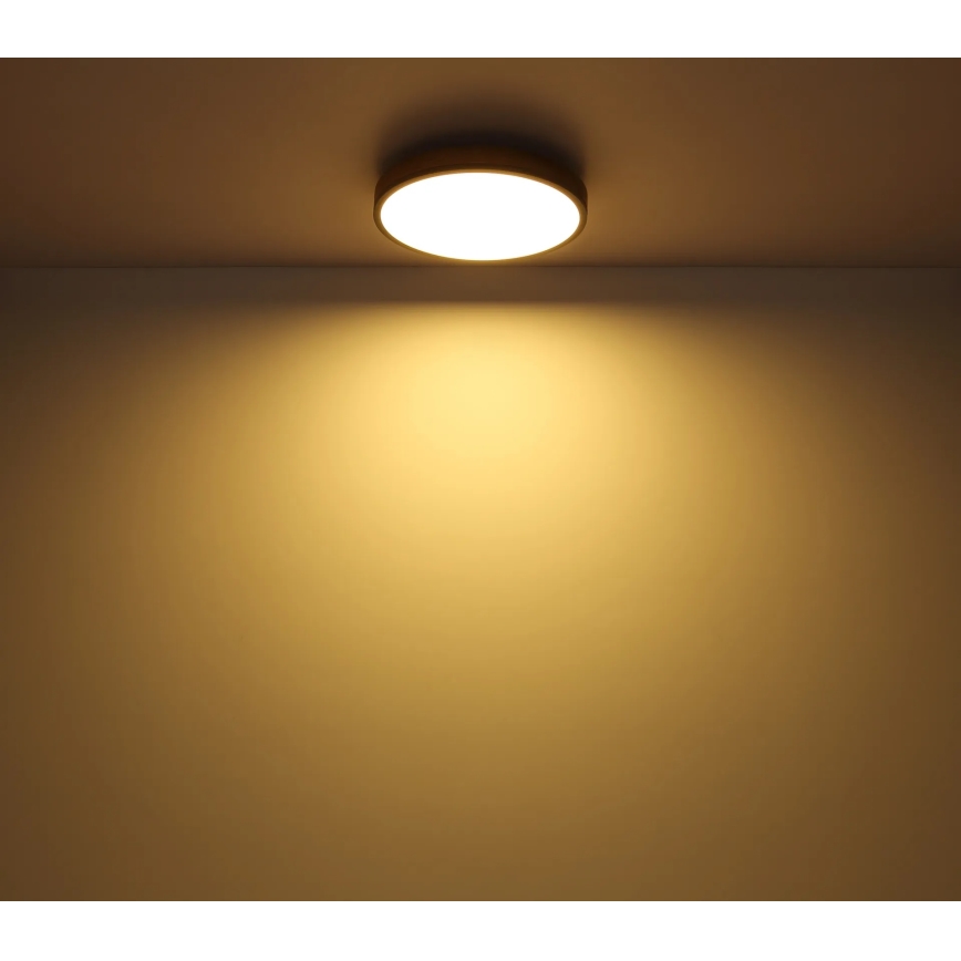 Globo - himmennettävä LED-kattovalaisin LED/24W/230V 3000-6500K halkaisija 45 cm
