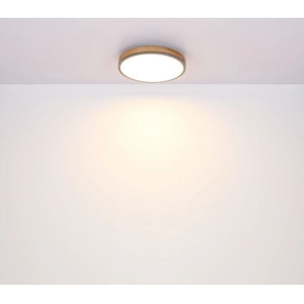 Globo - himmennettävä LED-kattovalaisin LED/24W/230V 3000-6500K halkaisija 45 cm