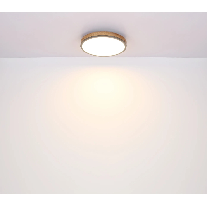 Globo - himmennettävä LED-kattovalaisin LED/24W/230V 3000-6500K halkaisija 45 cm