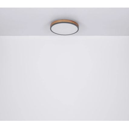 Globo - himmennettävä LED-kattovalaisin LED/24W/230V 3000-6500K halkaisija 45 cm
