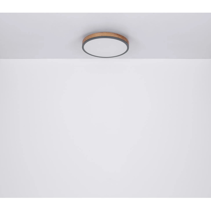 Globo - himmennettävä LED-kattovalaisin LED/24W/230V 3000-6500K halkaisija 45 cm