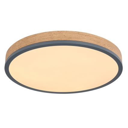 Globo - himmennettävä LED-kattovalaisin LED/24W/230V 3000-6500K halkaisija 45 cm
