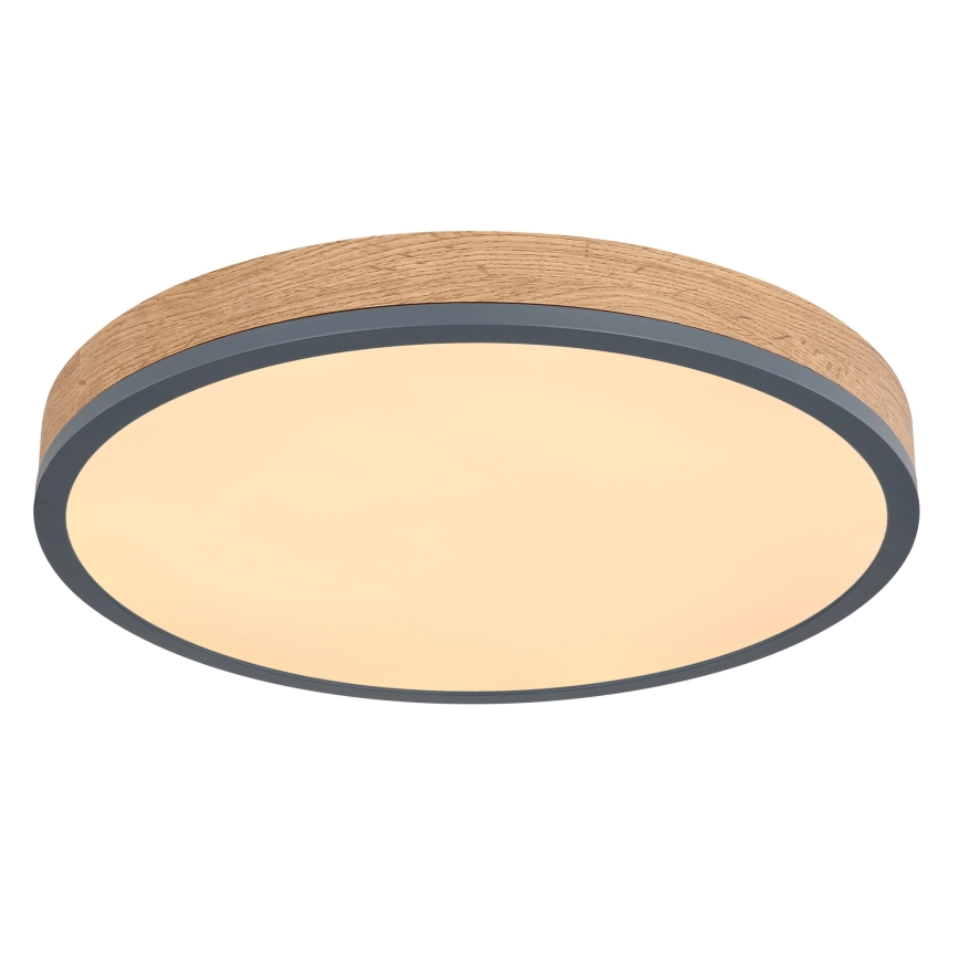 Globo - himmennettävä LED-kattovalaisin LED/24W/230V 3000-6500K halkaisija 45 cm