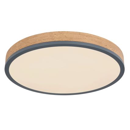 Globo - himmennettävä LED-kattovalaisin LED/24W/230V 3000-6500K halkaisija 45 cm