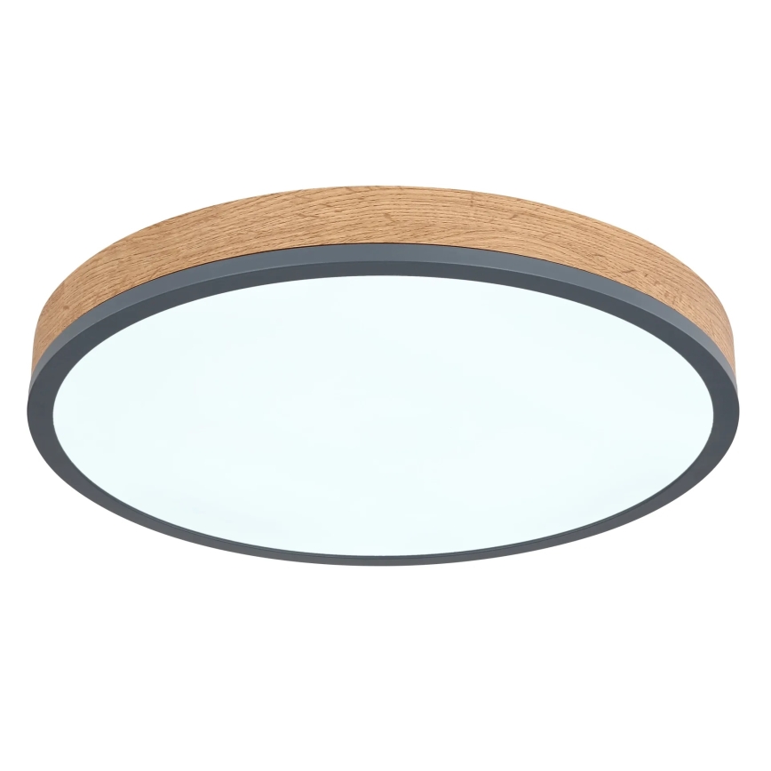 Globo - himmennettävä LED-kattovalaisin LED/24W/230V 3000-6500K halkaisija 45 cm