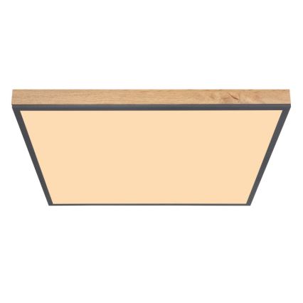 Globo - LED-kattovalaisin LED/36W/230V