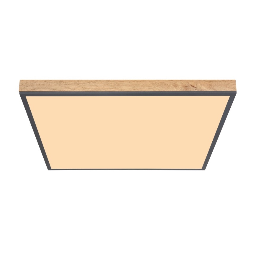 Globo - LED-kattovalaisin LED/36W/230V