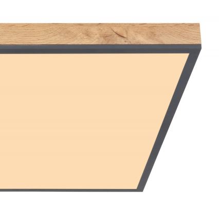 Globo - LED-kattovalaisin LED/36W/230V