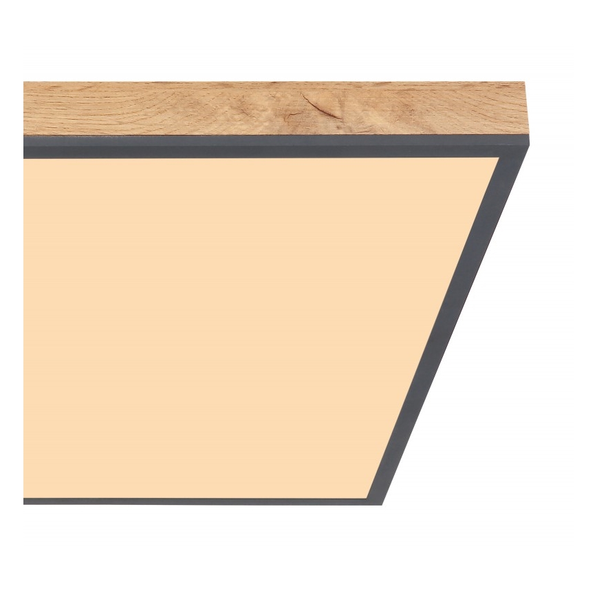 Globo - LED-kattovalaisin LED/36W/230V