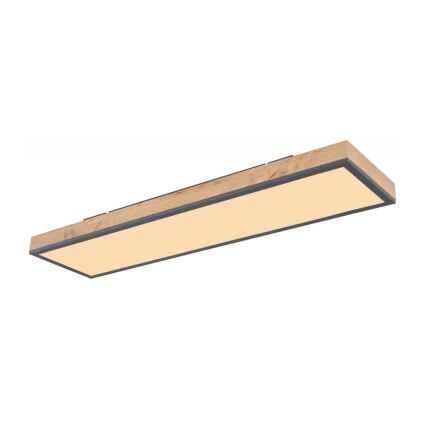 Globo - LED-kattovalaisin LED/24W/230V