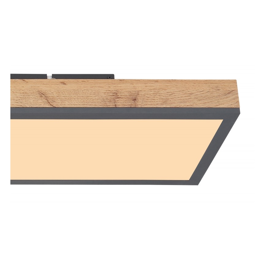 Globo - LED-kattovalaisin LED/24W/230V